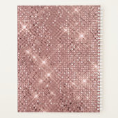 Rose Gold Shimmer Cheveux Rendez-vous Planificateu (Dos)