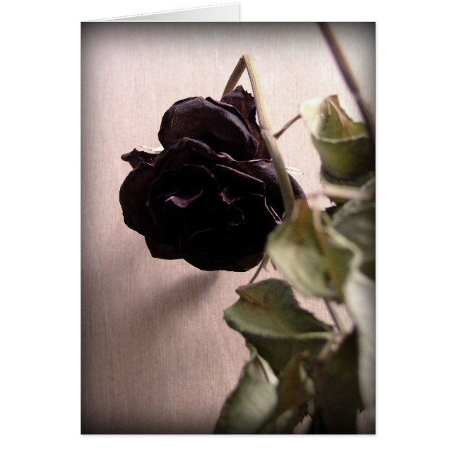 Rose gothique morte (Devant)