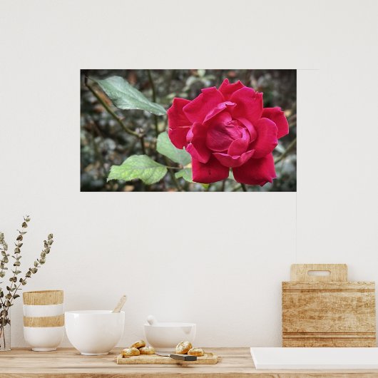 Rose in November,  Poster (Cuisine)