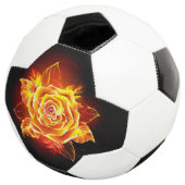 Rose incendie en floraison (3/4)