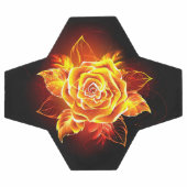 Rose incendie en floraison (Plat)