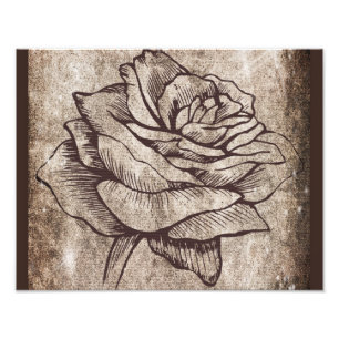 Rose Inktekening Foto Afdruk