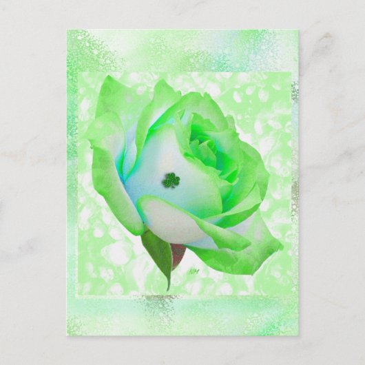 Rose irlandais et anniversaire ! Carte (Devant)