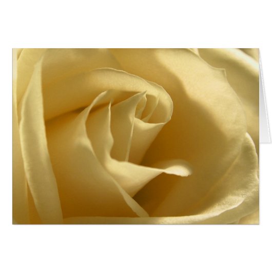 Rose jaune (Devant horizontal)