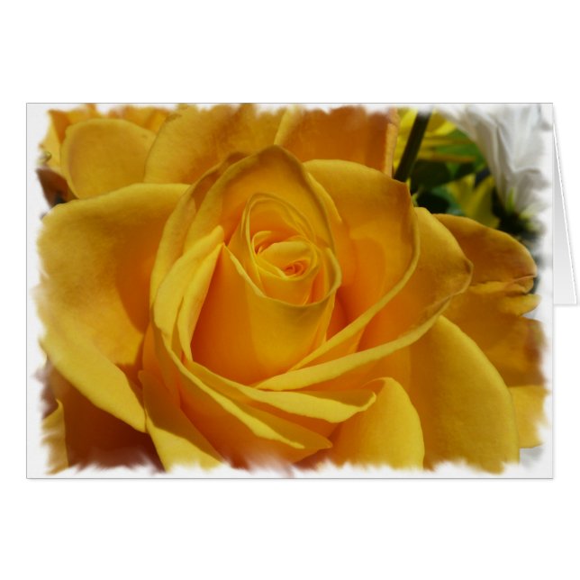 rose jaune (Devant horizontal)