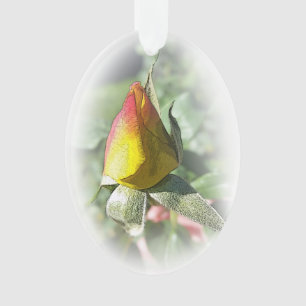 rose jaune