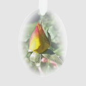 rose jaune (dos)
