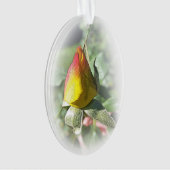 rose jaune (devant)