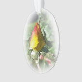 rose jaune (devant)