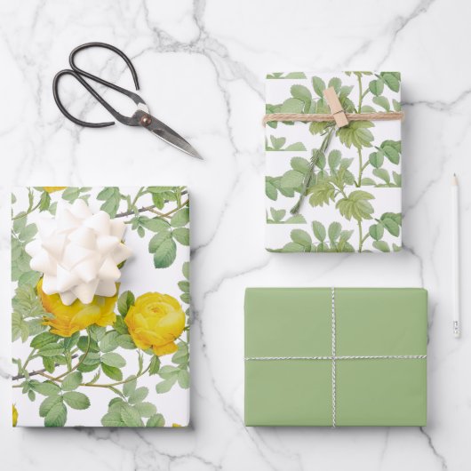 Rose jaune avec feuilles vertes (Recto)