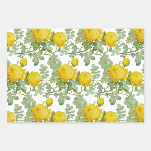 Rose jaune avec Feuilles verts (Devant)