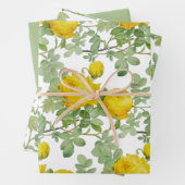 Rose jaune avec Feuilles verts (En situation)