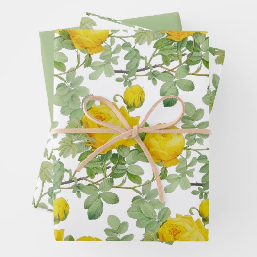 Rose jaune avec Feuilles verts (En situation)