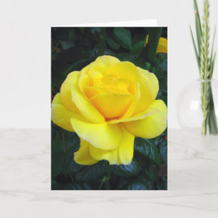 Rose jaune - carte