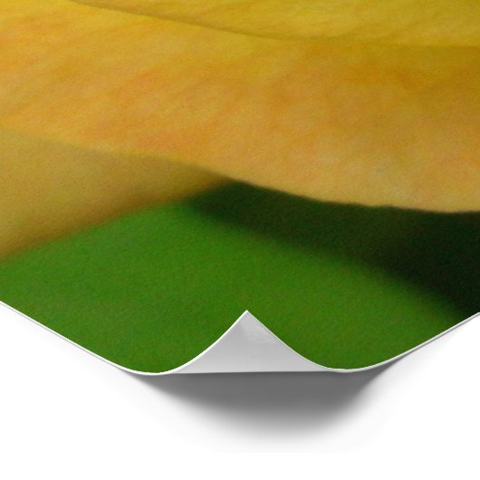 Rose Jaune Imprimer Belle Poster Fleur Imprimer (Coin)