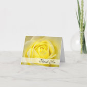 Rose Jaune Merci (Devant)