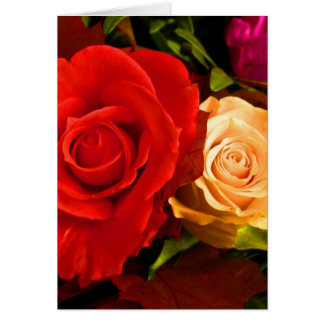 Rose jaune rouge