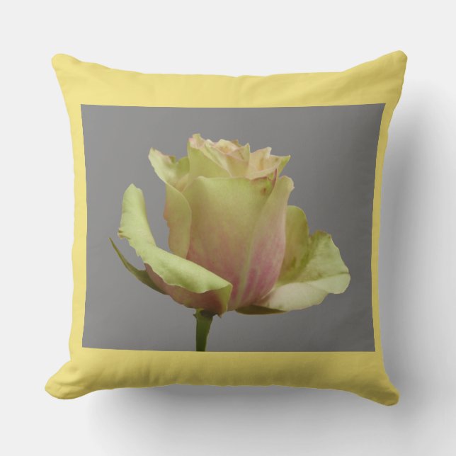 Rose jaune sur Gris + Poussière. Coussin couleur b (Recto)