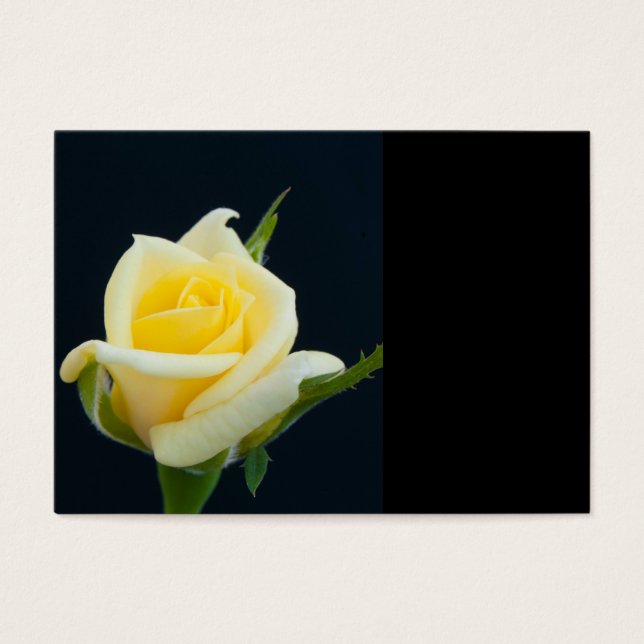 Rose jaune sur l'arrière - plan noir (Devant)