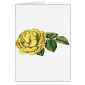 Rose jaune vintage (Devant)