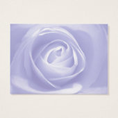 Rose Lavender, Enregistrer la date (Dos)