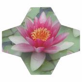 Rose Lotus Water Lily (Plat)