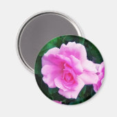 ROSE MAGNET (Recto/Verso)