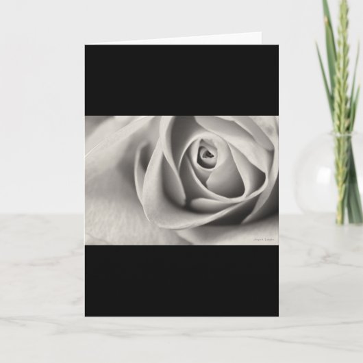 Rose noir et blanc, papeterie, modèle (Devant)