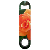 Rose orange (Dos)