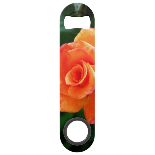 Rose orange (Devant)