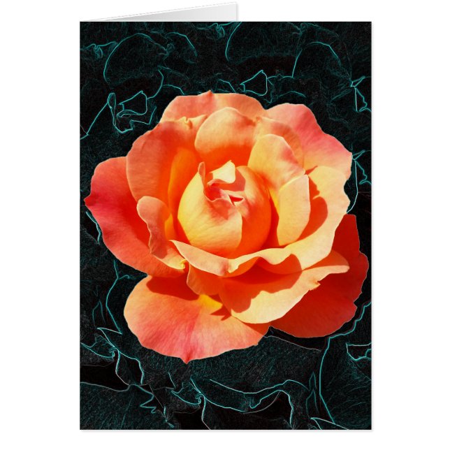Rose orange clair (Devant)