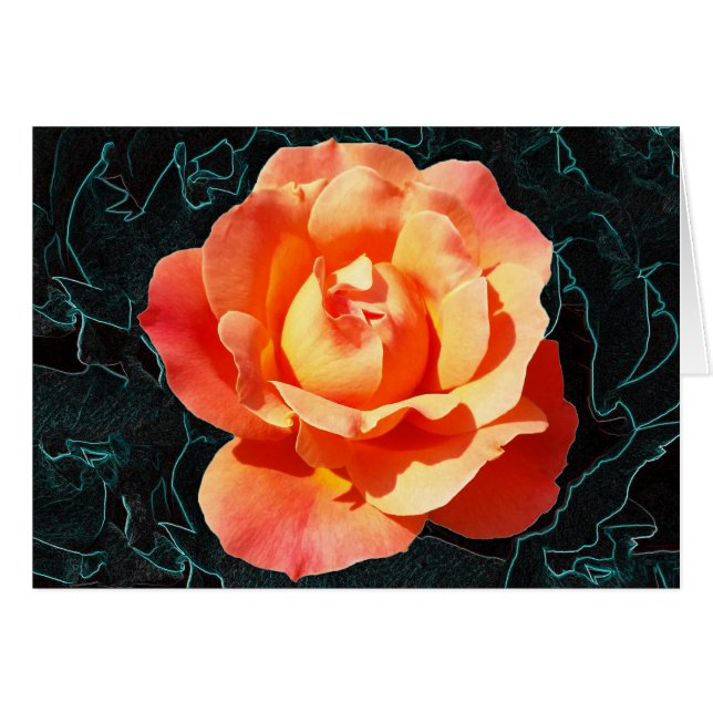 Rose orange clair (Devant horizontal)