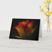 Rose orange et jaune de carte - (Fleur jaune)