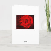 Rose Osaka : Carte de vacances (Dos)