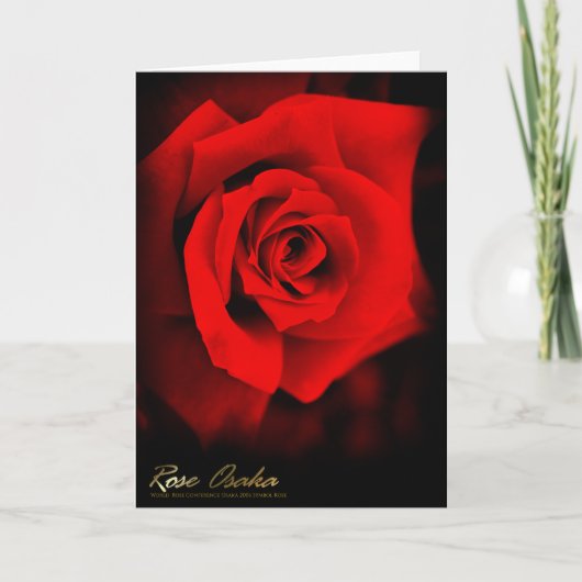 Rose Osaka : Carte de vacances (Devant)