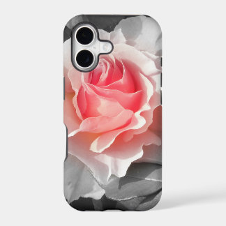 Rose Peach Bliss