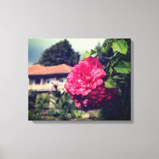 Rose, photo rustique, toile étirée d'été (Recto)