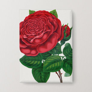 Rose Print Rochester Lithograferen en Drukken Co Button