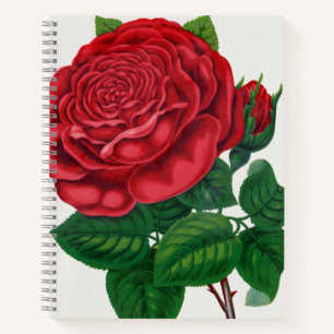 Rose Print Rochester Lithograferen en Drukken Co Notitieboek