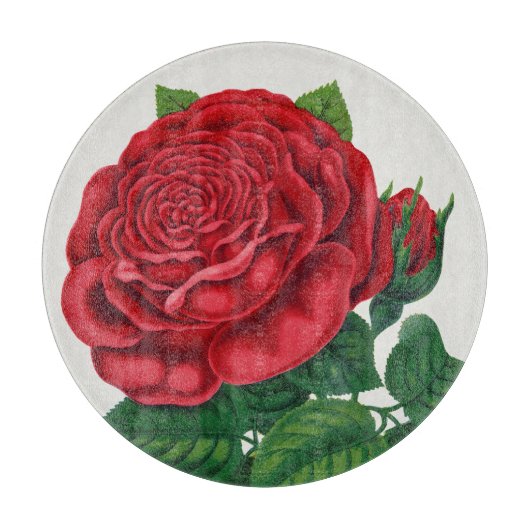 Rose Print Rochester Lithographing and Printing Co Snijplank (Voorkant)