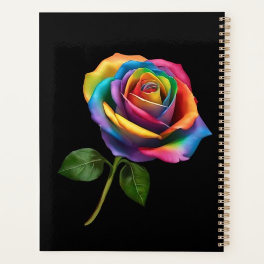 Rose Rainbow Long Stem (Dos)