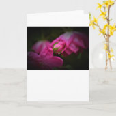 Rose & Raindrops, carte (Fleur jaune)