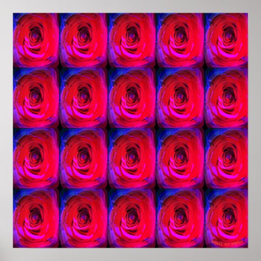Rose Red Miami, affiche (Devant)