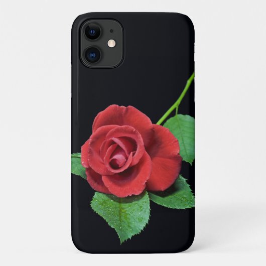 Rose romantique iPhone 11 Coque (Dos)