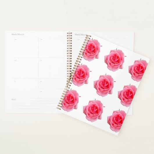 Rose rose (Devant avec enveloppe)