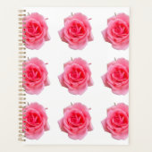 Rose rose (Devant)