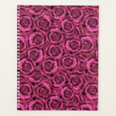 Rose rose (Devant)