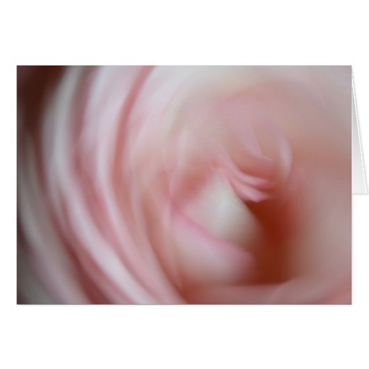Rose rose abstraite (Devant horizontal)