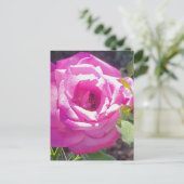 Rose rose avec une carte postale d'abeille (Debout devant)