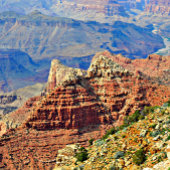 Rose rose chaud sur Cravate noire